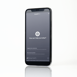 AI Chatbot Solutions